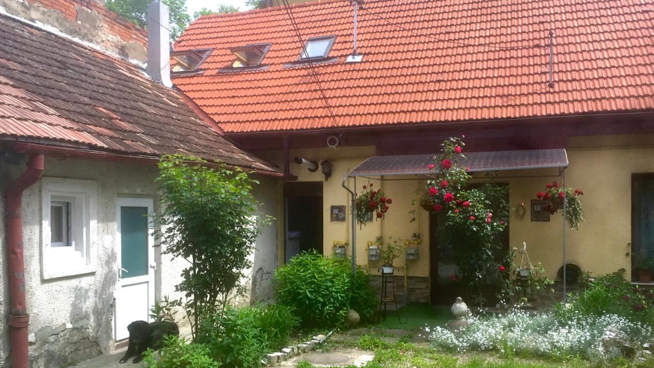 Central Apartment- Shumi'S Cluj-Napoca Eksteriør billede